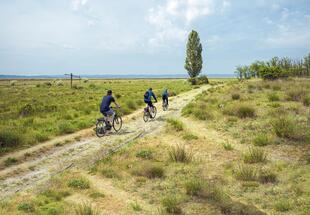 Der Nationalpark zum Kennenlernen - Fahrradtour
