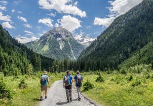 Zur Prossau im Kötschachtal