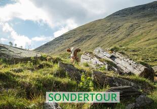 Überschreitung Kleetörl