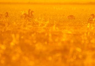 Mit dem Nationalpark in den Tag