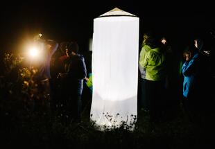 Der Nationalpark bei Nacht