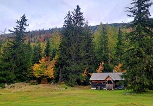Genusswandern zur Weingartalm