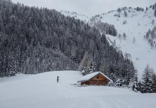 Skitour - Großarltal Hirschgrubenalm - Karlkopf