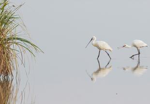 "Tag der Parke" - Familientour