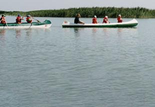 Ein Labyrinth aus Schilf: Kanutour am Neusiedler See