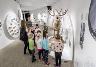 BIOS Nationalparkzentrum Besucherführung