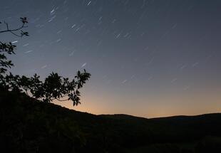 Von Sternschnuppen und anderen Himmelskörpern