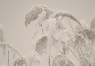 Winter im Nationalpark