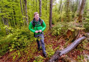 UNESCO-Welterbe Tour: Wildnistrail Buchensteig