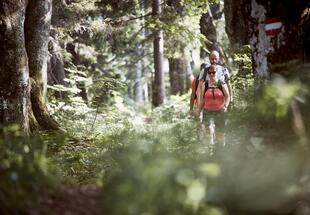 Nationalpark Durchquerung &#40;2 oder 3 Tage&#41;