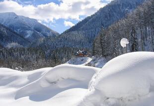 Fürsten in der Wildnis (im Winter)