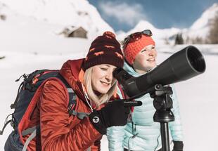WILDe Überlebenskünstler in Kals am Großglockner