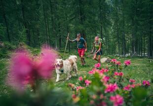 Nationalpark Wandertag: Stanziwurten