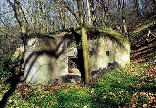 Von alten Grenzverteidigungsanlagen