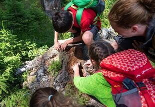 Hand in Hand ins Entdeckerland - Familientour