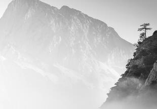 Forms of Xeis - Fotokurs HERBST 14.11.-16.11.2025