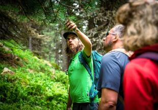 Dem Wurfbach entlang