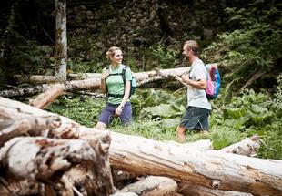 Wildnis, Wald & Du! &#40;3 Tage&#41;
