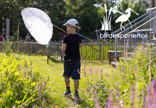 BEX - Next Generation