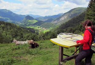 Am Natur-Spuren-Weg zum Panoramaturm Wurbauerkogel