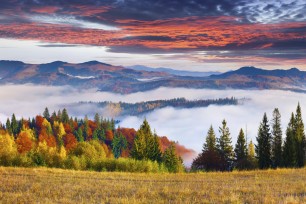 istockphoto.com