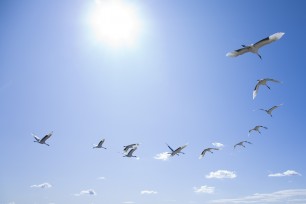 c istockphoto.com