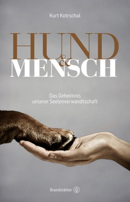 Hund & ensch Das Geheinis unserer Seelenverwandtschaft PDF