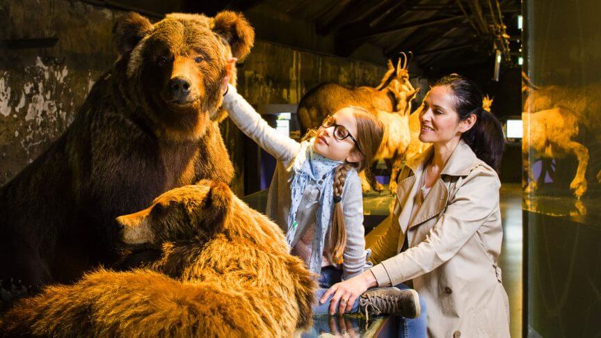 naturmuseen
