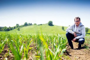 Biologisches Gemuese selber ernten