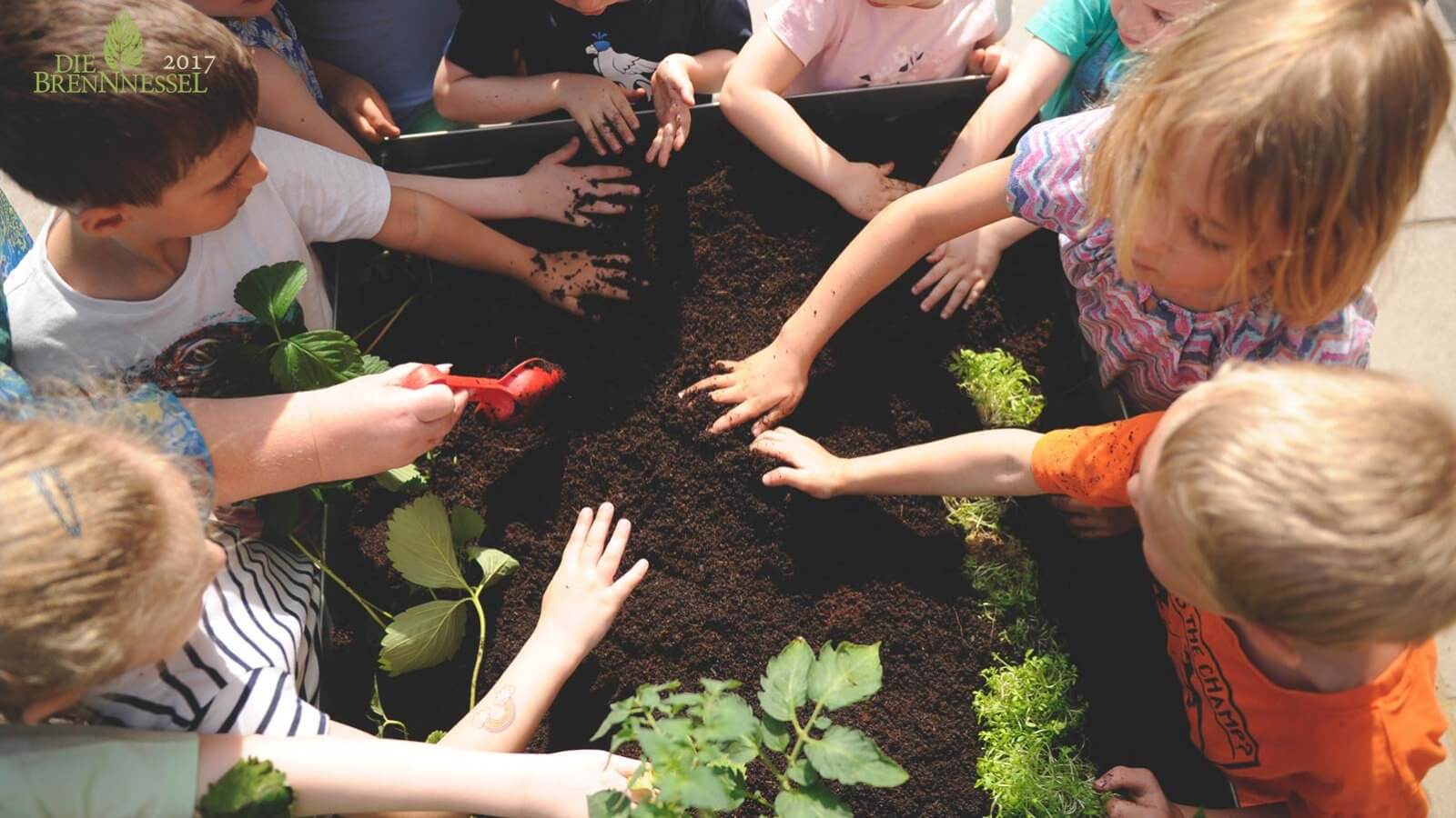 Projekt Natur Und Umwelt Im Kindergarten Naturschutz für Kinder: 5 Projekte für Schulen und Kindergärten