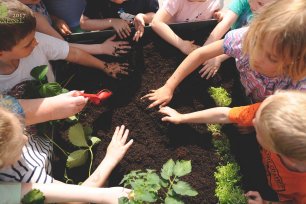 Naturschutz im Kindergarten_image