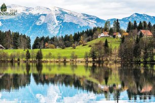 Brennnessel Gleinkersee