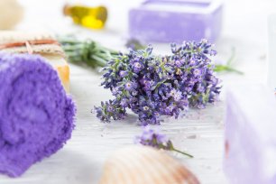 Heilkaeuter Rezepte