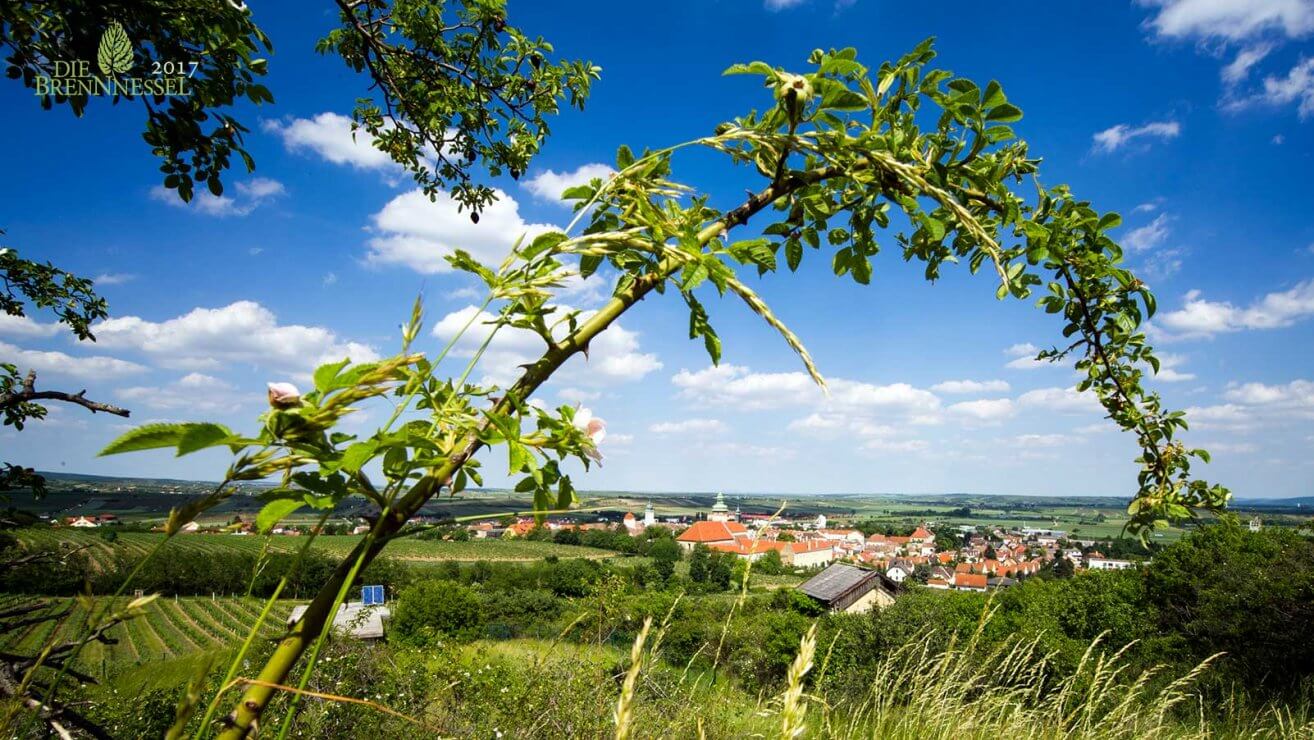 Naturschutz in der Gemeinde