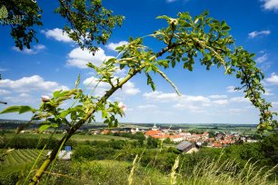 Naturschutz in der Gemeinde