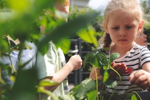 Naturschutz fuer Kinder