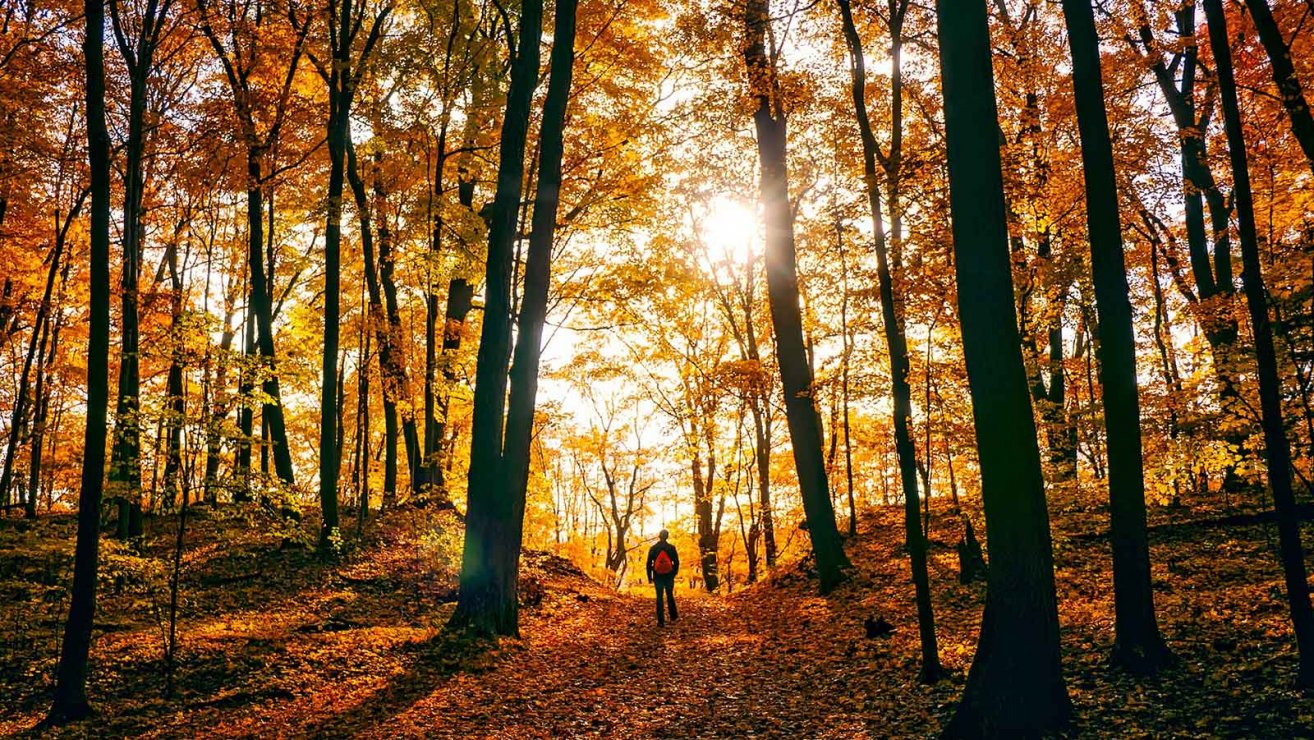 hebstwanderung