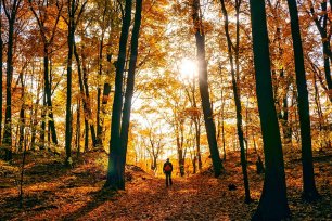 hebstwanderung