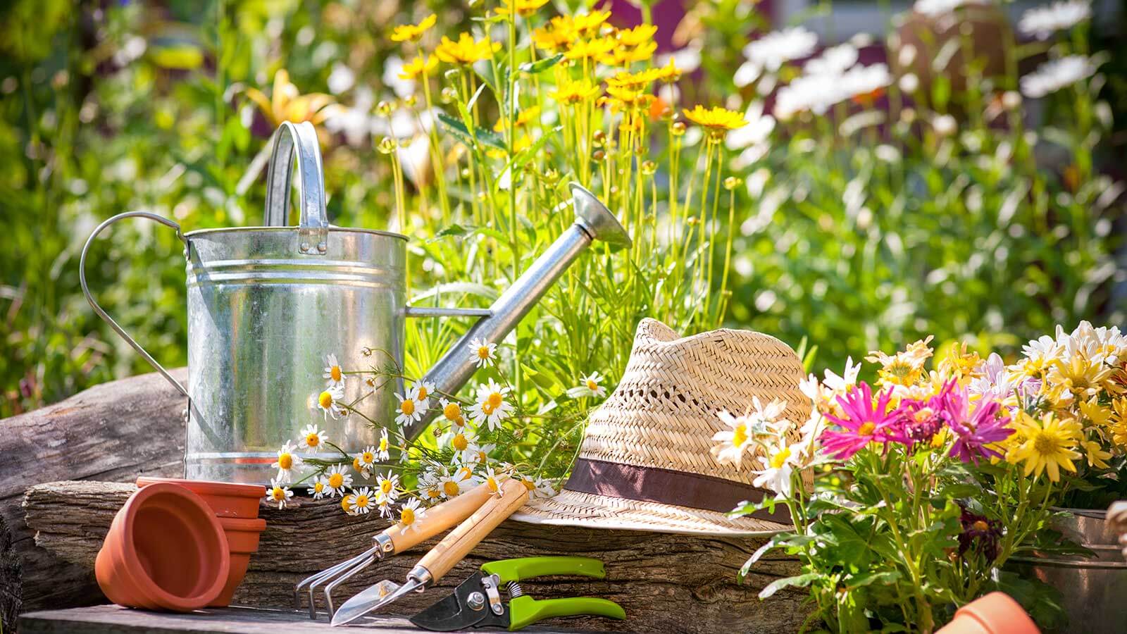 Gartenarbeit im Frühling 6 Tipps, um ihn wachzuküssen Blühendes