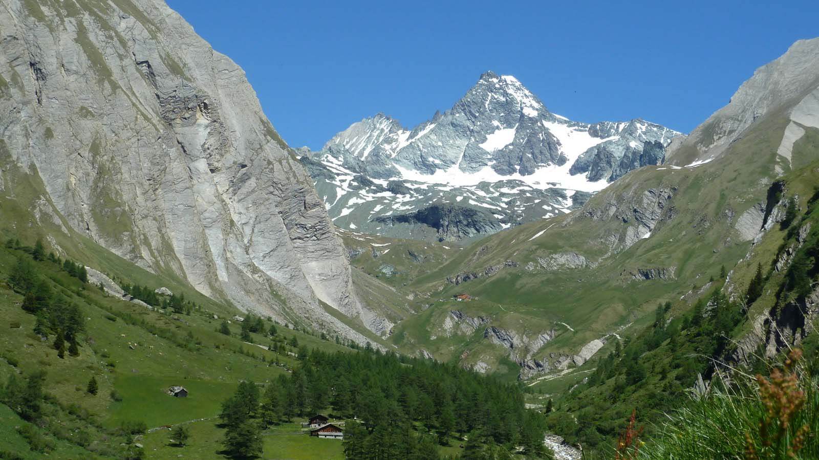 Nationalpark Hohe Tauern 7 Fakten für wahre Kenner Blühendes Österreich