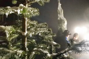 christbaum