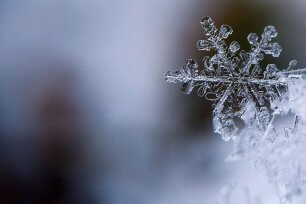 Schnee