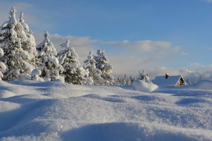 Winter