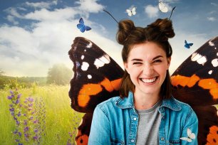 Schmetterling Sujet